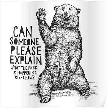 Confused bear asking a question